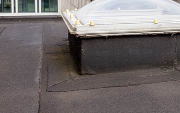 disadvantages of Crowthers Pool flat roofs
