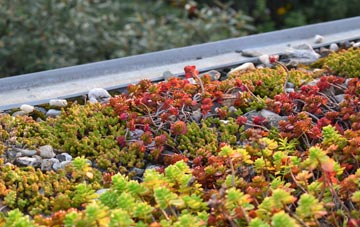 the cost of Crowthers Pool green roof installation