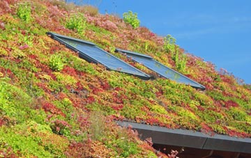Crowthers Pool living roof systems