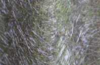 Crowthers Pool fibreglass roof work